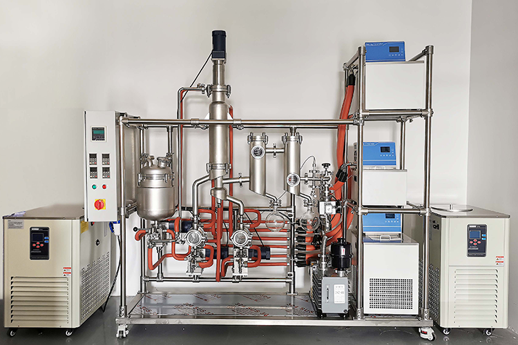 95568910.png 主图.png