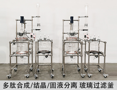 30L玻璃固相合成釜